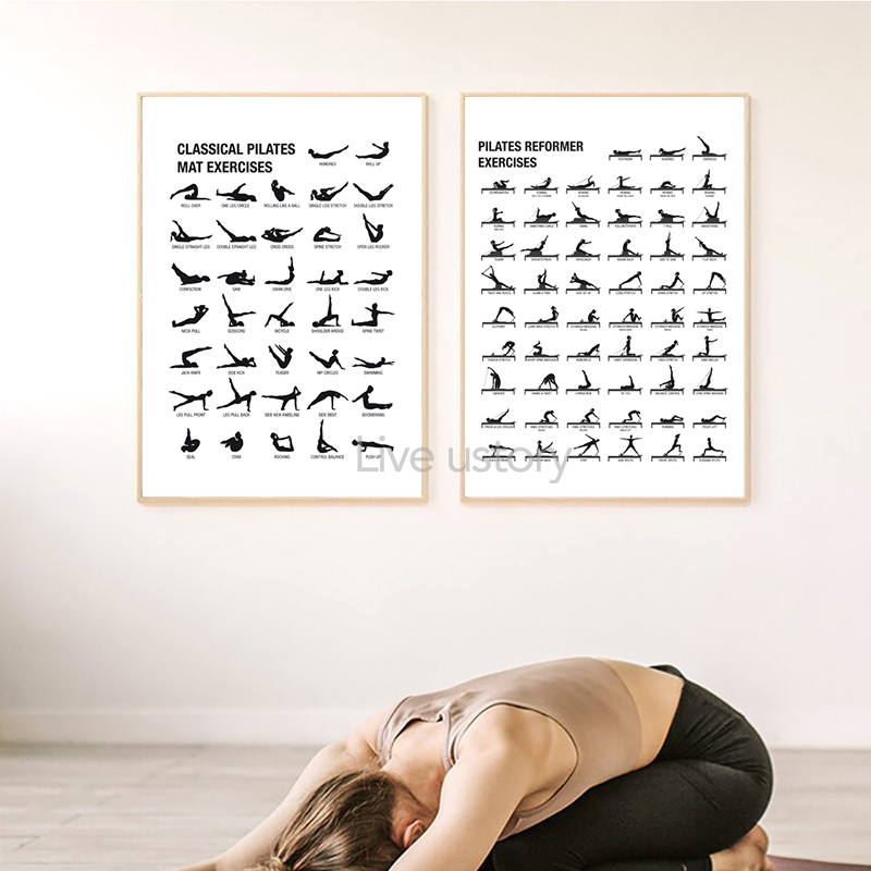 Pilates Workout Chart Poster C - Sustainable Living Guide review and price